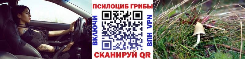 кракен ТОР  Бийск  Псилоцибиновые грибы прущие грибы 