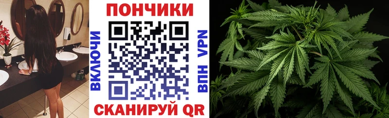 Марихуана тримм  продажа наркотиков  Бийск 
